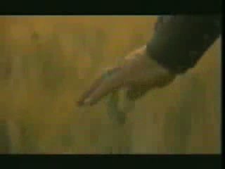 Lisa Gerrard - Now We Are Free- Original Video Clip - YouTube