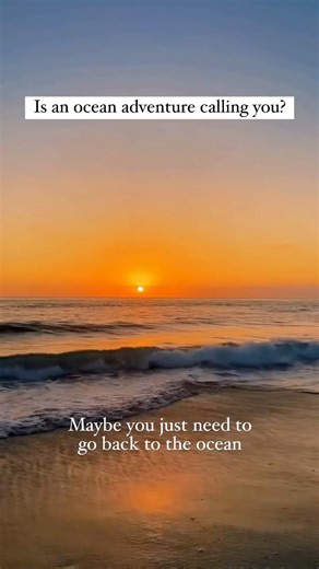 Is an ocean adventure calling you? ✨ Yes, it is! Dive deep with Marine Impact conservation projects and help save the oceans! Immerse yourself in hands-on learning and discover marine life wonders#marineimpact #oceanconservation #makeadifference #volunteer #ocean #marine #fyp #trendingreels #volunteer #goabroad | GoAbroad.com | Facebook