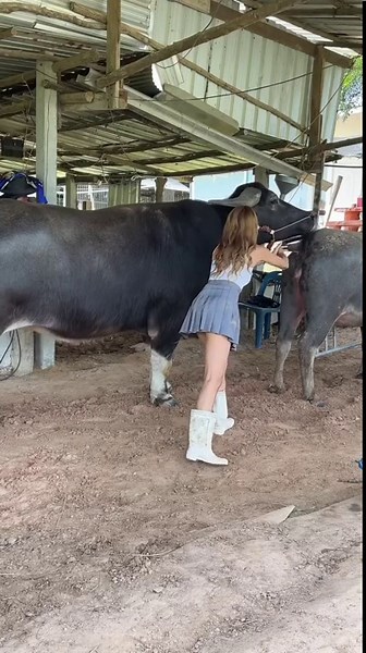 Dog Fucks Girl Dirty Extreme
