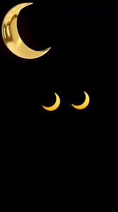 9.1K views · 66 reactions | Forma-plus on Reels | Facebook