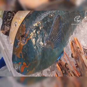 39K views · 255 reactions | wOw! Okinawa awesome fish best list! /Trumpet Fish, Parrot fish, Gold grouper/How to fillet a fish, Korean street food | Technology Times | Facebook