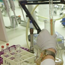 Video: Expression of Exogenous Antigens in the Mycobacterium bovis BCG Vaccine via Non-genetic Surface Decoration with the Avidin-biotin System