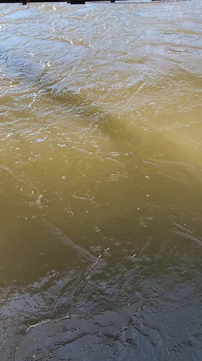 22K views · 458 reactions | The Rio Grande is flowing full blast, it’s a crisp 57° and is ready for cold dips. We also added a huge sheer decent waterfall for your Summer dipping pleasure. Soak you soon! | Riverbend Hot Springs | Facebook