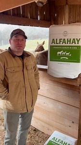 Here at ANB Farms in Statesville we will be feeding Alfahay together let’s watch the elks antlers grow. First picture will be with last years knobs that haven’t fallen off. Keep in mind there are 3 bulls. | Ryan Newman