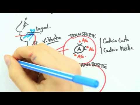 Absorption of Dietary Lipids - Lipases and Esterases