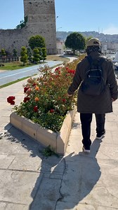 1K views · 18 reactions | Musim bunga .. polpan takkan bole dipisahkan dgn bunga | Shams Rosli | Facebook