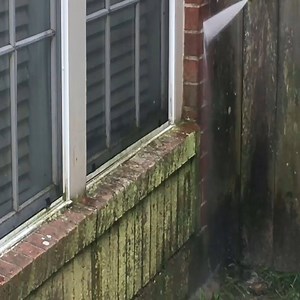 304K views · 164 shares | Brick Pressure Washing | DIY Mouse Trap | Facebook