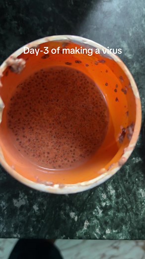 Day-3 of making a virus#fyp🤬🦠 | virus