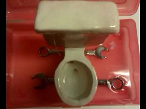 World's smallest flushable toilet