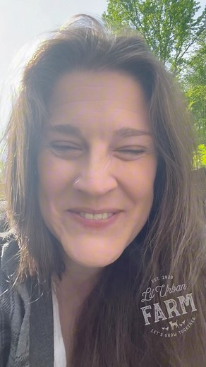 18 reactions | Continuing to share more on the Lil Urban Farm...