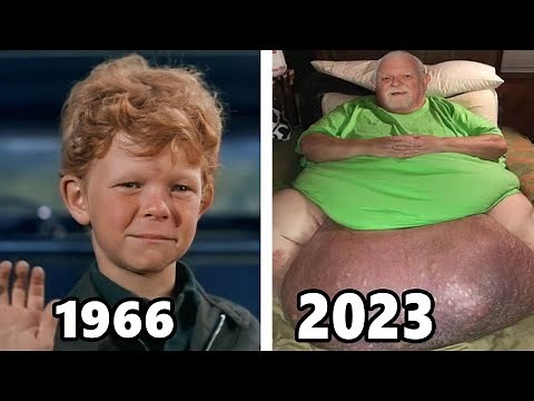 FAMILY AFFAIR (1966-1971) Cast THEN and NOW, All the cast is getting old horribly!!