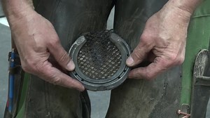 **Nailing and Prepping for Equi-Pak CS Pour** The #DiamondTracker shoe has been shaped and #FootPro Tungsten pins inserted in the heels for traction on hard surfaces. Bobby Menker, CJF has cut the #EquiMesh material and puts it between the shoe and foot to help secure the Vettec Hoof Care #EquiPak CS material he will apply after nailing. #Vettec has recently made significant cost reductions in their production. The new distribution arrangement with #FPD for the #USA and #Canada market has allowe