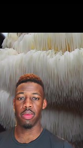 522K views · 10K reactions | Paul Stamets on lions mane mushrooms, available now from shop link in our bio #lionsmane #paulstamets #functionalmushrooms | MagicTree Superfoods | Facebook