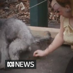 53K views · 17 shares | These are the films the Government didn't...