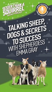 Have you spotted our latest Sexier than a Squirrel podcast episode? If you are intrigued by this clip, don't worry; there's much more where that came from. Catch up with Lauren and Shepherdess Emma Gray as they talk sheep, dogs and their secrets to success. 🥳 🐑 LISTEN & Subscribe to the Sexier than a Squirrel Podcast https://absolutedogs.me/podcast iTunes: https://podcasts.apple.com/us/podcast/sexier-than-a-squirrel-dog-training-that-gets-real/id1496560528 Spotify: https://open.spotify.com/sho