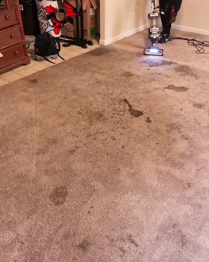 Satisfying Carpet Cleaning Extraction Process