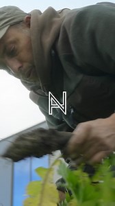 At our site where Nouvel Héritage jewelry is crafted, our vegetable...