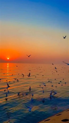 ➖sico➕Bhai ✖️ on TikTok