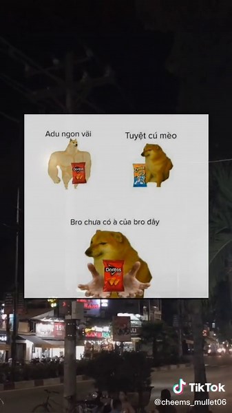 Của bro hết đó ^^#cheems #cheemsbuonsad #huuphuoc2k06 #cheemssad #xuhuong