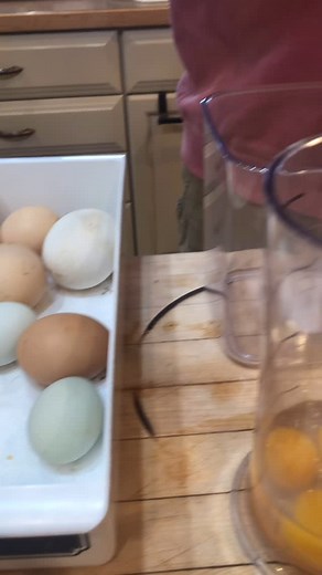 Homemade Mayo! 👏 We always strive for healthier eating options and less dependency upon commercial food. Mayonnaise is one of those foods that kinda grossed us out because of the long list of ingredients, many which are unpronounceable (always a sign you shouldn’t eat it! 🤪). So, we rarely eat it or have it in our house. Honestly, I really don’t even like it’s taste or texture. Farmer Jon is a master Pasta Salad creator so occasionally he needs it for that. During the spring when there’s an ab