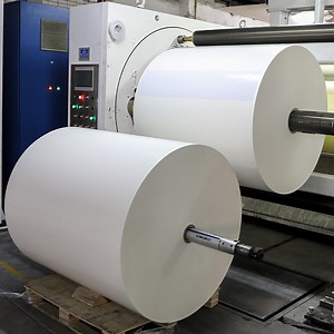 [Hot Item] Factory Low Price High Quality Sticker Material HDPE Jumbo Thermal Roll