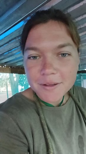 Growing fast!! #rabbits#rabbitfarming#homesteading#africa#zimbabwe#farming#farmgirl#homegrown | Kendal-Ray Kaschula-Clay