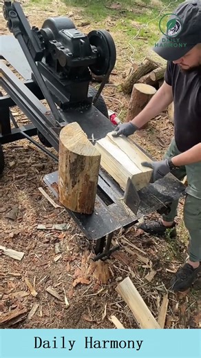 Splitting A Pine Log On A Wood Splitter