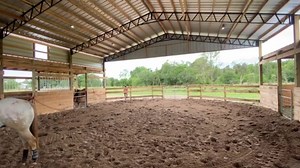 #Wyatt # ColtStarting #Desensitizing #BuildingConfidence #SouthernAmbitions #Video1 | Southern Ambitions Horsemanship | Facebook