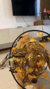 11K views · 1.3K reactions | Halloween, halloween  | Golden Retriever Overload | Facebook