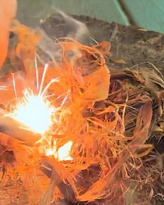 8.3K views · 478 reactions | Fuel the Fire! #outdoor #woodsman #firecraft #forestlife #davecanterbury | David Canterbury | Facebook