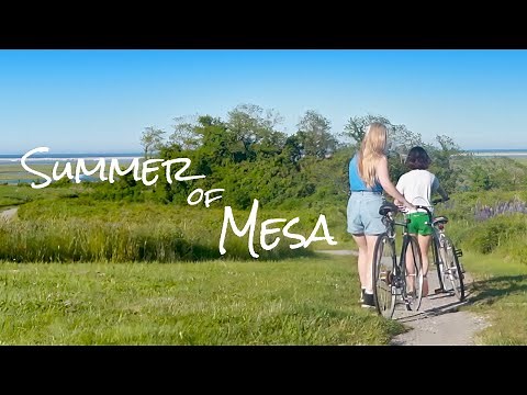 Summer of Mesa (2020)
