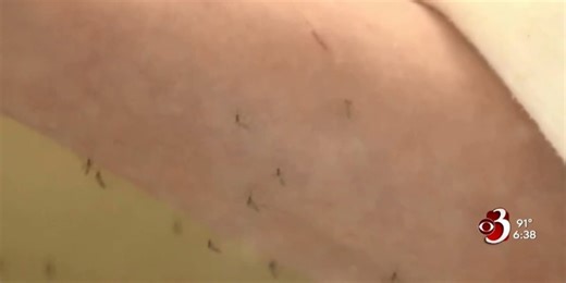 Triple E detected in Grand Isle, Franklin Counties