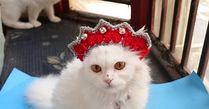 Crochet Princess Crown// Princess Crown Crochet Pattern free