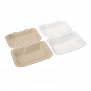 [Hot Item] Disposable Catering Tableware Wholesalesugarcane Material Packaging Sugarcane Baggase Pulp Box9*6 Size Clamshell Box