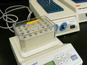 Restriction Enzyme Digests: Principle, Procedure, and Applications