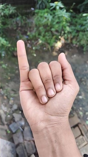 the largest shiny beetle I have ever found of its kind #insects #nature #beautifulinsects #G2880