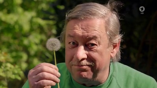 Die Maus : Löwenzahn - Pusteblume
