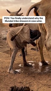 Wait, wait, wait! Before you call it gross, listen up. The Mundari and Dinka people of South Sudan live in extreme heat. This 'shower'? It's actually an antiseptic. It kills bacteria, repels mosquitoes, and the ash protects them from the sun. They aren't dirty—they are geniuses. And you thought your skincare routine was complicated. The original multi-purpose cleaner. 🤔🐮 #fypシ゚viralシ #fypシ #dinka | Powerful Africa