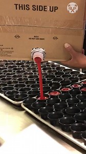 5.2K views | Worker fills 70 ketchup pots in seconds | Hungry Panda | Facebook