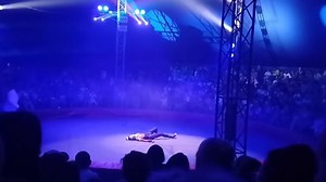 A gymnast falls from a height during a performance in a circus in Barnaul, Russia