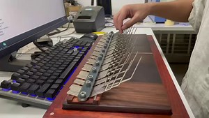 Array Mbira 96 Keys 4 Octaves Chromatic Scale Finger Piano Rose Wood