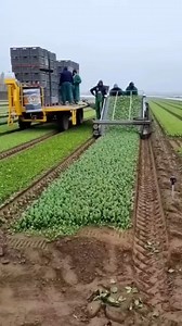 4.9K views · 27 reactions | Balance Of Nature on Reels | Facebook