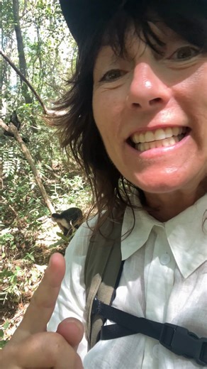 1.5K views · 18 reactions | Capuchin monkeys get their name from an order of Franciscan monks whose brown robes and bald heads they uncannily resemble. But their behaviour is far from saintly. The most intelligent of the New World monkeys, capuchins have two main obsessions: food and sex. When it comes to the former, their impressive cognitive skills easily outsmart the lumbering great apes (AKA tourists) invading their territory. I’ve seen beachgoers in Costa Rica outraged as rucksacks were bra