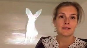 Jenni Valorinta esittelee näyttelynsä videoteoksen. Uniliike näyttely Nykyajan alakerran galleriassa 29.11. saakka. Maksuton sisäänpääsy, avoinna päivittäin. Jenni Valorinta introduces her one minute video "Avec qui tu partage tes biscuits". At Nykyaika until 29th Nov. | Valokuvakeskus Nykyaika / Photographic Centre Nykyaika