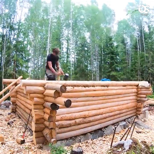 1.1K views · 27 reactions | Off Grid Log Cabin Walls Finished | Complete Bushcraft | Facebook