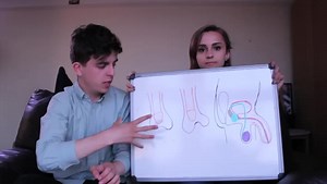 Sex Education 06 - Anatomy - The Penis