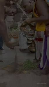 2.2K views · 168 reactions | Sri Vidhya RajaGopalaSwamy Temple...