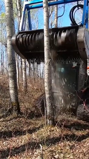 Drum Mulcher Shreds Tree | Giant Machine