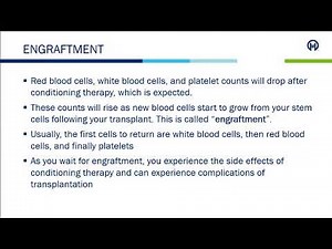 Allogeneic Stem Cell Transplant