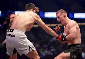 McGregor reacted sharply to the outcome of the fight Nurmagomedov - Hughes